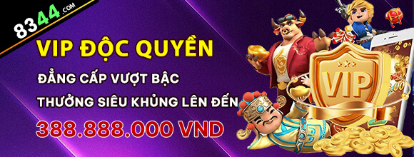 Hình ảnh quảng cáo của shondo hiển thị nền tảng và các lợi ích