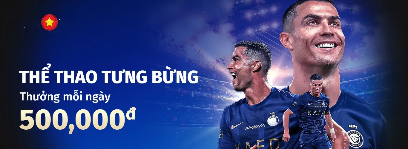 Hình ảnh quảng cáo của shondo hiển thị nền tảng và các lợi ích