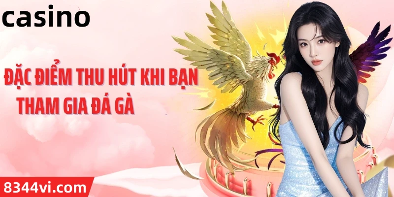 Hình ảnh quảng cáo của shondo hiển thị nền tảng và các lợi ích