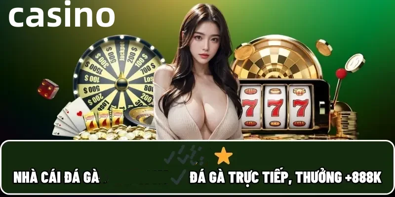 Hình ảnh quảng cáo của shondo hiển thị nền tảng và các lợi ích