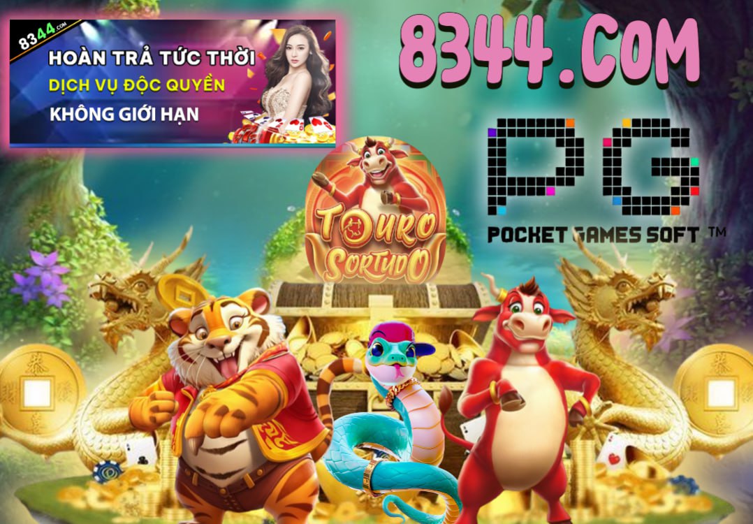 Hình ảnh quảng cáo của shondo hiển thị nền tảng và các lợi ích