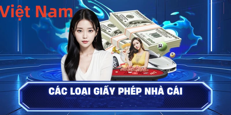 Hình ảnh quảng cáo của shondo hiển thị nền tảng và các lợi ích