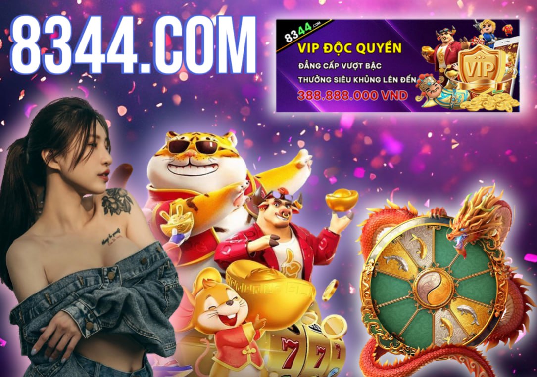 Hình ảnh quảng cáo của shondo hiển thị nền tảng và các lợi ích