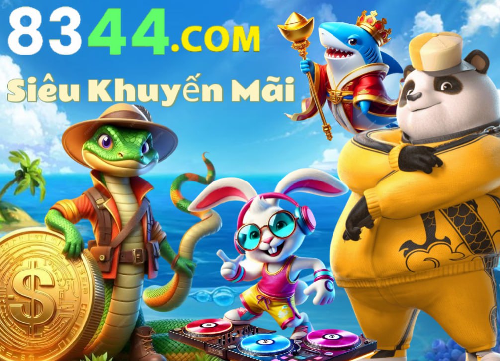 Hình ảnh quảng cáo của shondo hiển thị nền tảng và các lợi ích