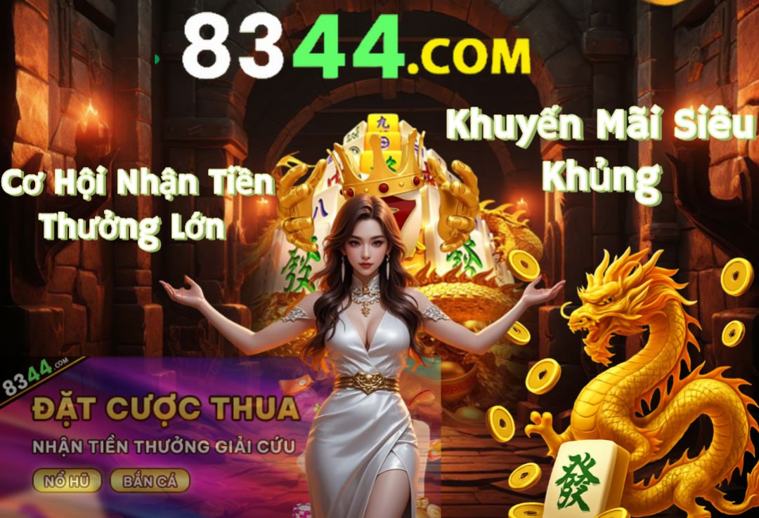 Hình ảnh quảng cáo của shondo hiển thị nền tảng và các lợi ích