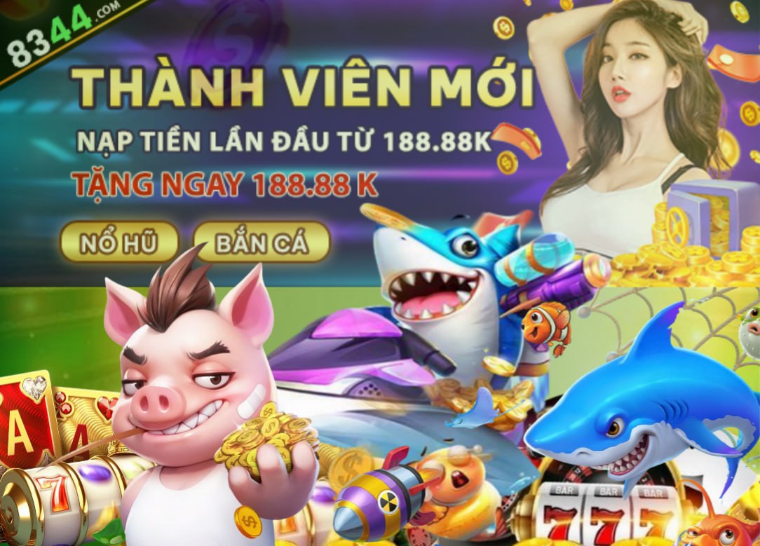 Hình ảnh quảng cáo của shondo hiển thị nền tảng và các lợi ích