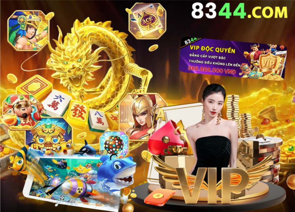 Hình ảnh quảng cáo của shondo hiển thị nền tảng và các lợi ích